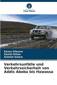 bokomslag Verkehrsunflle und Verkehrssicherheit von Addis Abeba bis Hawassa