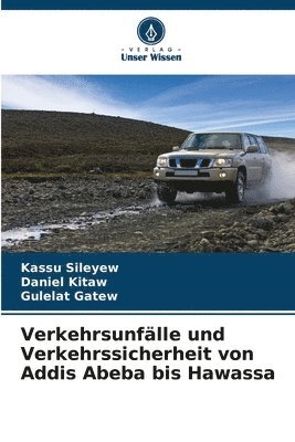 Verkehrsunflle und Verkehrssicherheit von Addis Abeba bis Hawassa 1