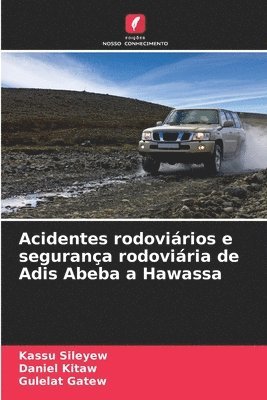 Acidentes rodovirios e segurana rodoviria de Adis Abeba a Hawassa 1