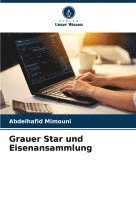 Abdelhafid Mimouni - Grauer Star und Eisenansammlung, Häftad