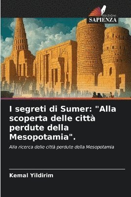 bokomslag I segreti di Sumer