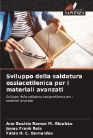 bokomslag Sviluppo della saldatura ossiacetilenica per i materiali avanzati