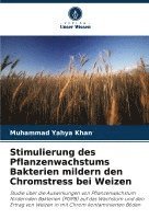 Stimulierung des Pflanzenwachstums Bakterien mildern den Chromstress bei Weizen 1