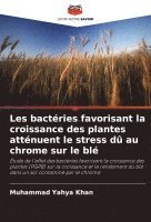 bokomslag Les bactries favorisant la croissance des plantes attnuent le stress d au chrome sur le bl