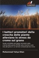 bokomslag I batteri promotori della crescita delle piante alleviano lo stress da cromo sul grano