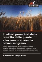 I batteri promotori della crescita delle piante alleviano lo stress da cromo sul grano 1