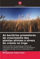 bokomslag As bactrias promotoras do crescimento das plantas aliviam o stress do crmio no trigo