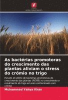 Muhammad Yahya Khan - As bactérias promotoras do crescimento das plantas aliviam o stress do crómio no trigo, Häftad