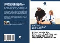 bokomslag Faktoren, die die klinischen Ergebnisse von Krankenpflegern und Hebammen beeinflussen