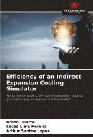 bokomslag Efficiency of an Indirect Expansion Cooling Simulator