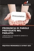 bokomslag Pronuncia Di Parole Prefissate Nel Parlato