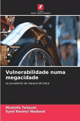 bokomslag Vulnerabilidade numa megacidade