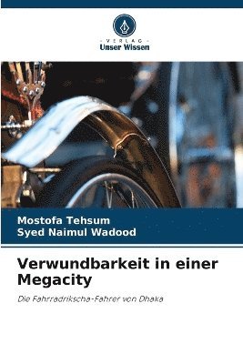 bokomslag Verwundbarkeit in einer Megacity