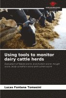 Using tools to monitor dairy cattle herds 1