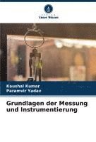 bokomslag Grundlagen der Messung und Instrumentierung