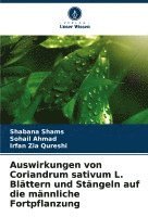 Auswirkungen von Coriandrum sativum L. Blättern und Stängeln auf die männliche Fortpflanzung