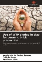 bokomslag Use of WTP sludge in clay for ceramic brick production