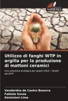 bokomslag Utilizzo di fanghi WTP in argilla per la produzione di mattoni ceramici