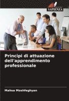Principi di attuazione dell'apprendimento professionale