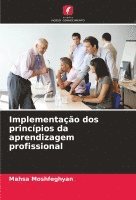 bokomslag Implementao dos princpios da aprendizagem profissional