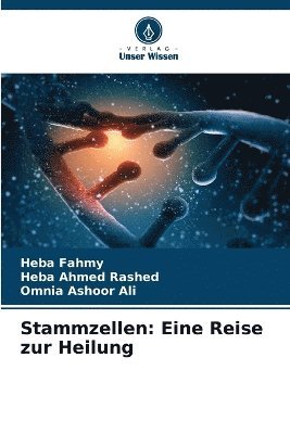 Stammzellen 1