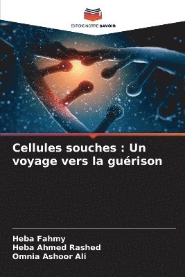 Cellules souches 1