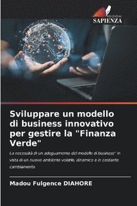 bokomslag Sviluppare un modello di business innovativo per gestire la &quot;Finanza Verde&quot;