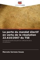 bokomslag perte du mandat électif en vertu de la résolution 22.610/2007 du TSE