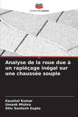 Analyse de la roue due à un rapiéçage inégal sur une chaussée souple