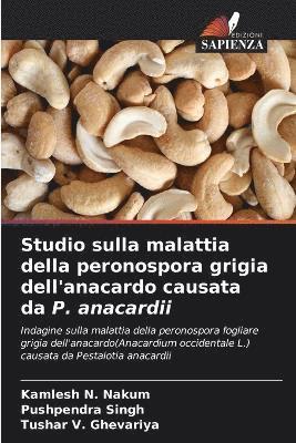 Studio sulla malattia della peronospora grigia dell'anacardo causata da P. anacardii 1