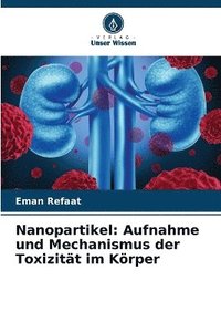 bokomslag Nanopartikel