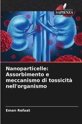 bokomslag Nanoparticelle