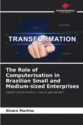 bokomslag The Role of Computerisation in Brazilian Small and Medium-sized Enterprises