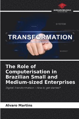 Role of Computerisation in Brazilian Small and Medium-sized Enterprises