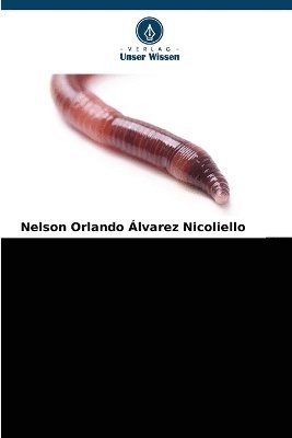 ERDLOHN Gewöhnlicher Annelide