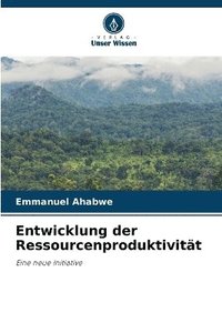 bokomslag Entwicklung der Ressourcenproduktivitt