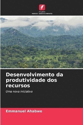 bokomslag Desenvolvimento da produtividade dos recursos