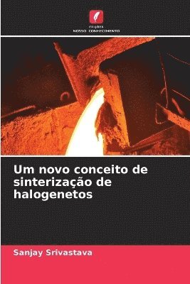 bokomslag Um novo conceito de sinterização de halogenetos