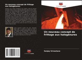 Sanjay Srivastava - nouveau concept de frittage aux halogénures, Häftad