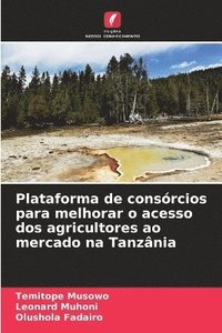 bokomslag Plataforma de consrcios para melhorar o acesso dos agricultores ao mercado na Tanznia