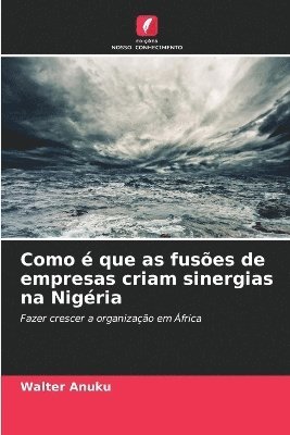 Como  que as fuses de empresas criam sinergias na Nigria 1