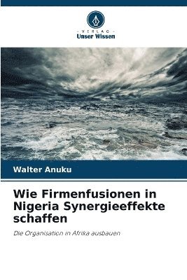 bokomslag Wie Firmenfusionen in Nigeria Synergieeffekte schaffen