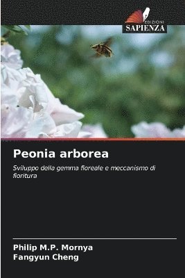 Peonia arborea 1