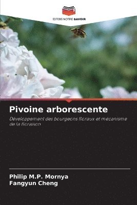 Pivoine arborescente 1