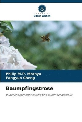 Baumpfingstrose 1