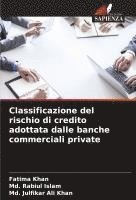 bokomslag Classificazione del rischio di credito adottata dalle banche commerciali private