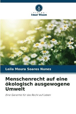 bokomslag Menschenrecht auf eine ökologisch ausgewogene Umwelt