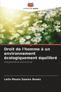 bokomslag Droit de l'homme  un environnement cologiquement quilibr