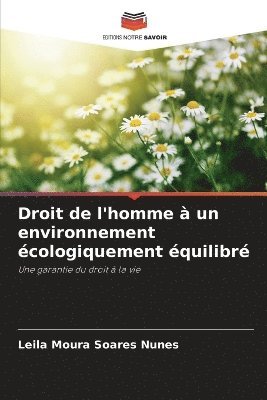 bokomslag Droit de l'homme à un environnement écologiquement équilibré