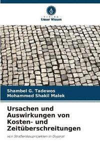 bokomslag Ursachen und Auswirkungen von Kosten- und Zeitberschreitungen